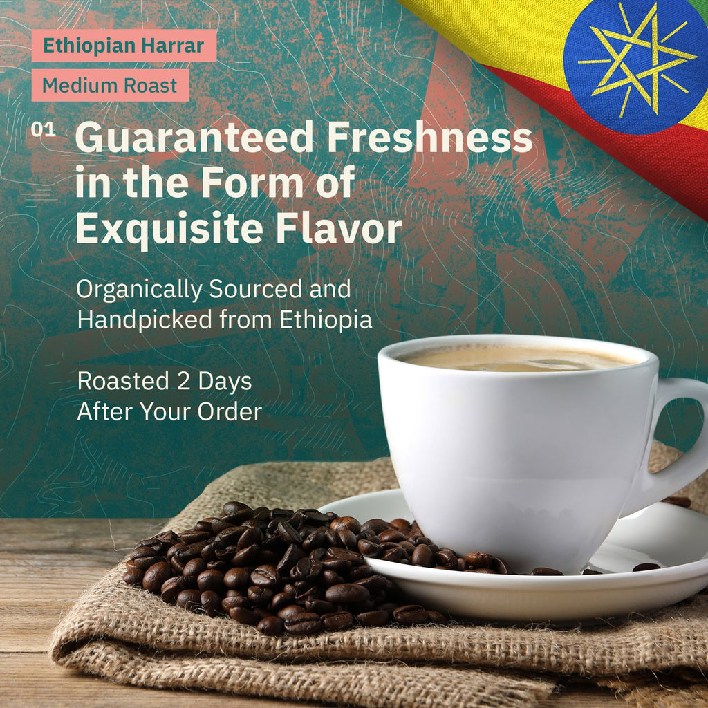 Kochere Coffee Ethiopian Harrar Natural Medium Roast - Fruity, Berry, Dark Chocolate Notes