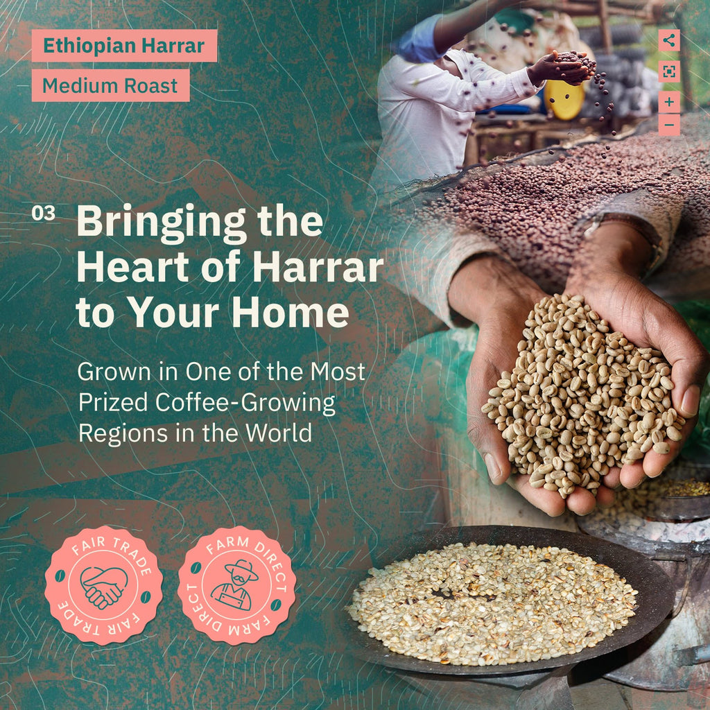 Kochere Coffee Ethiopian Harrar Natural Medium Roast - Fruity, Berry, Dark Chocolate Notes
